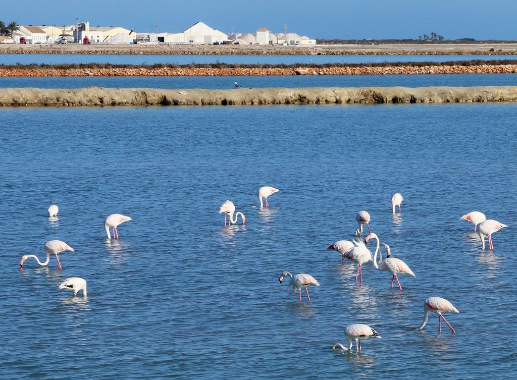 Masquestar Mar Menor Apartment ตอร์เร-ปาเชโก ภายนอก รูปภาพ